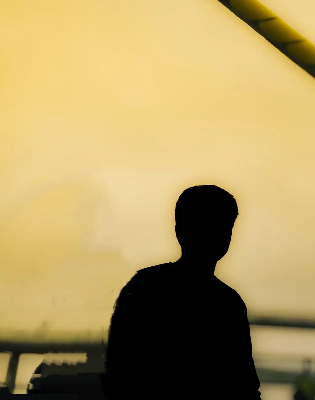 Silhouette at Dusk
