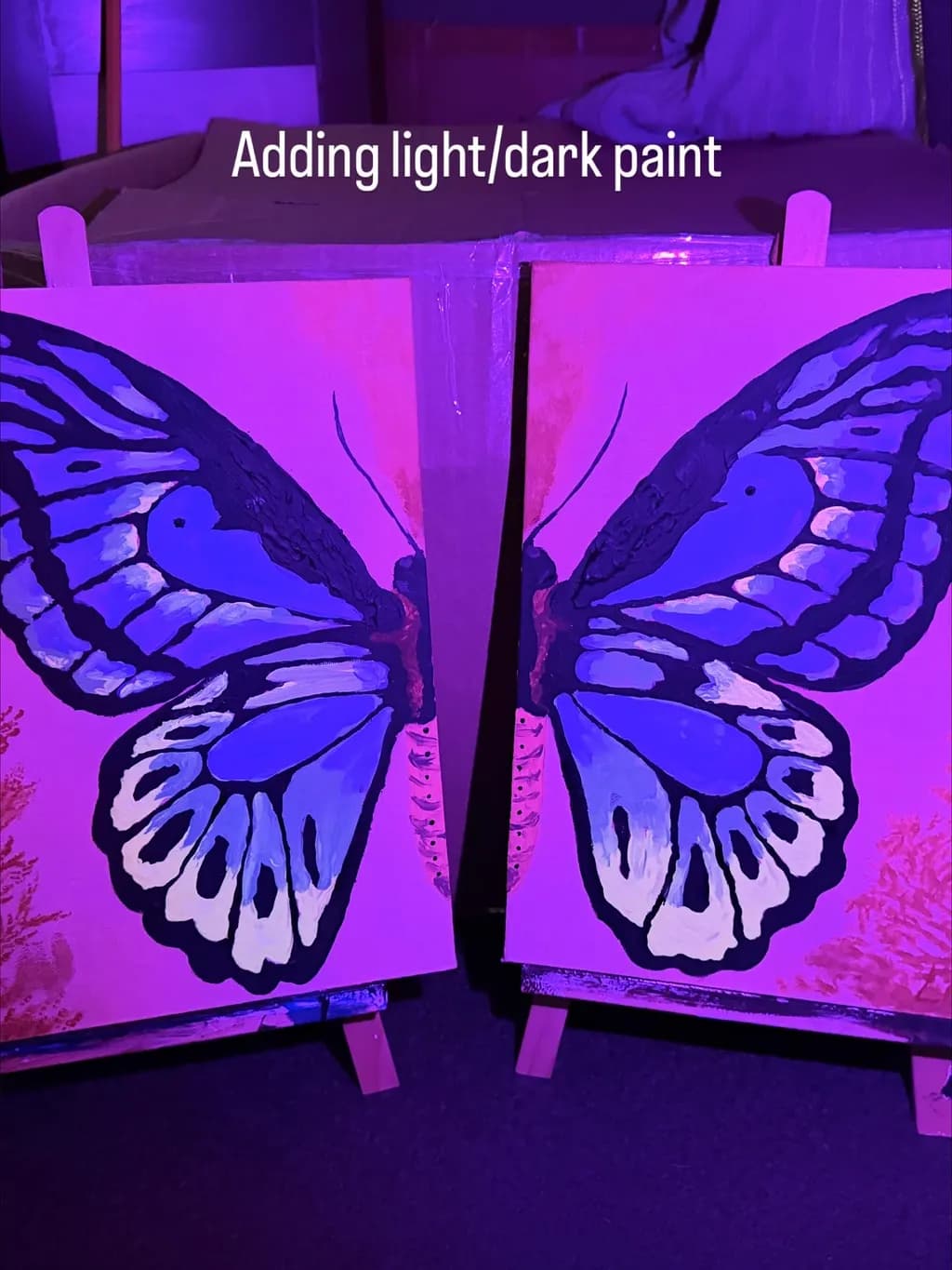 Butterfly Wingspan