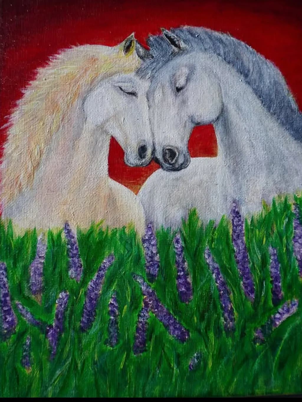 Horse Affection
