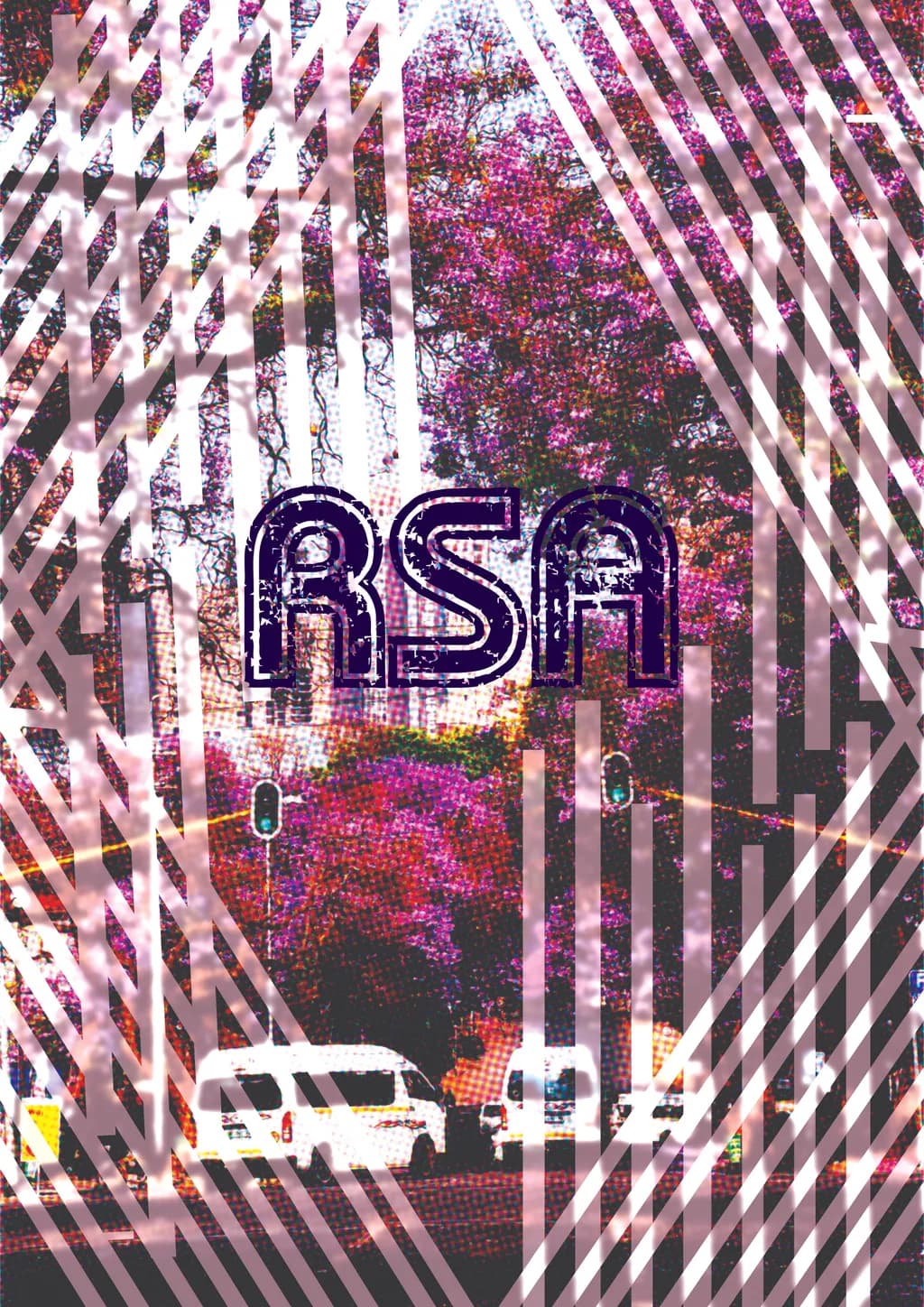 RSA Book Cover