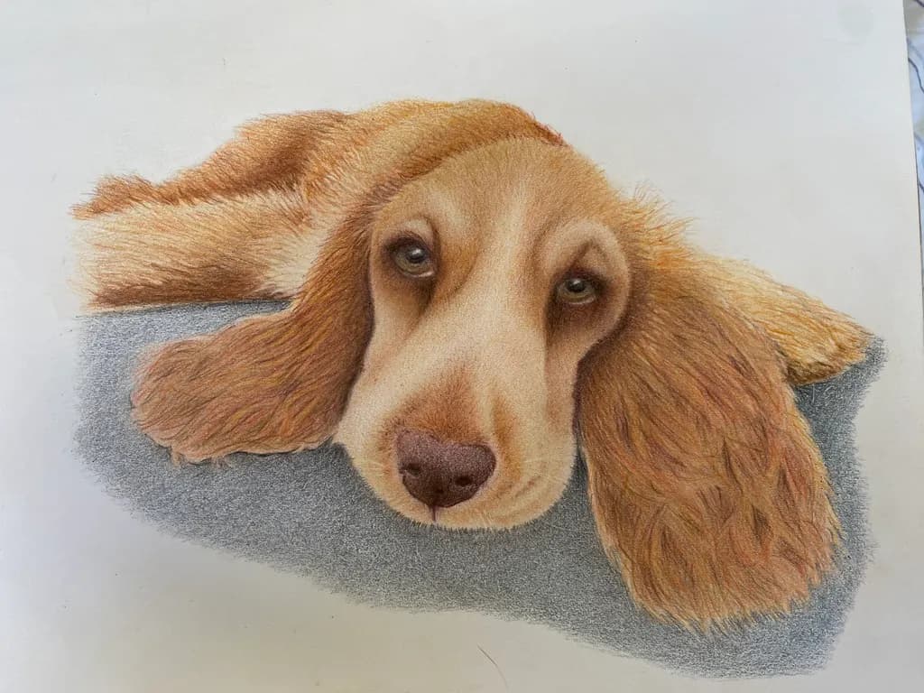 Resting Dog Portrait