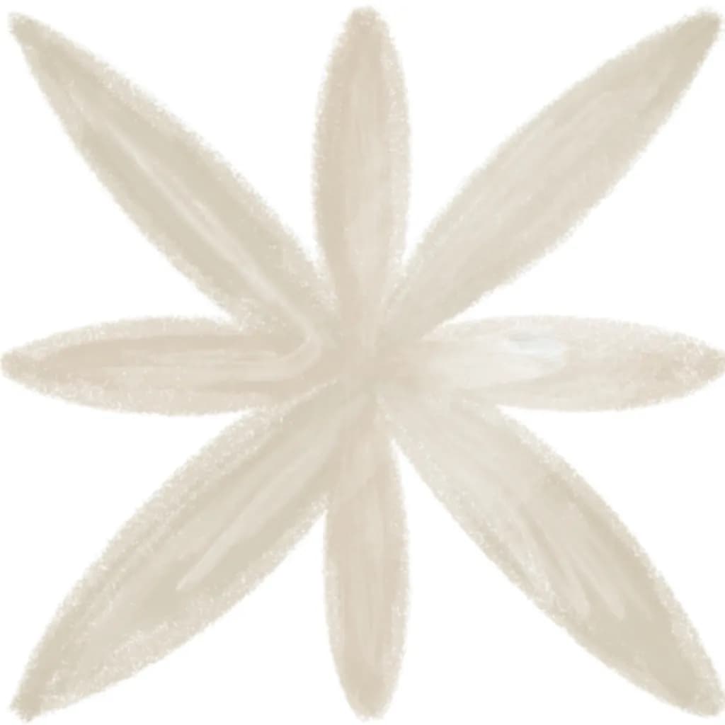Ace Beige Star