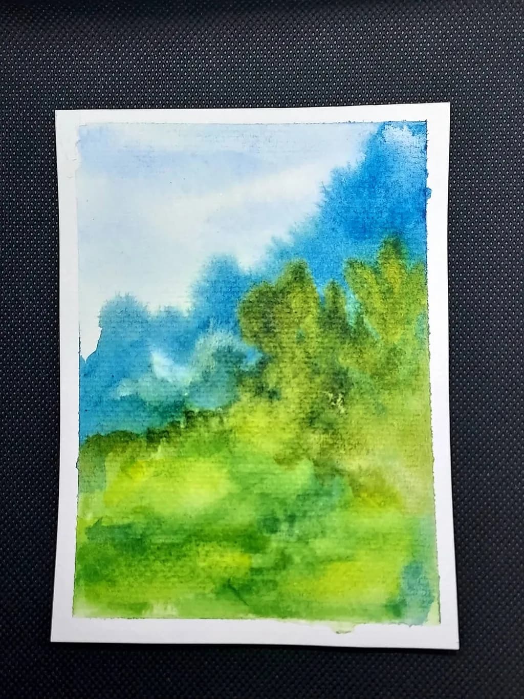 Lime Meadow Trees