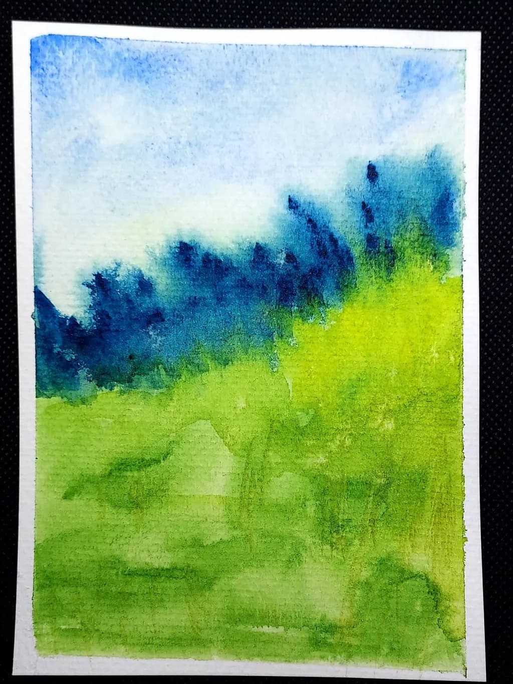 Sunlit Meadow Trees