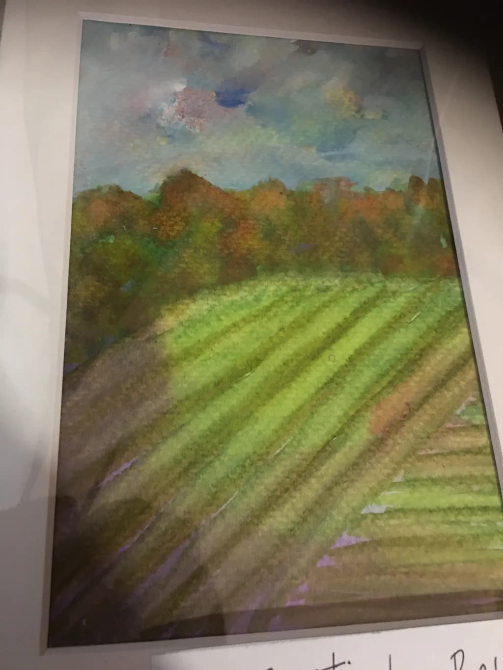Autumn Field Light