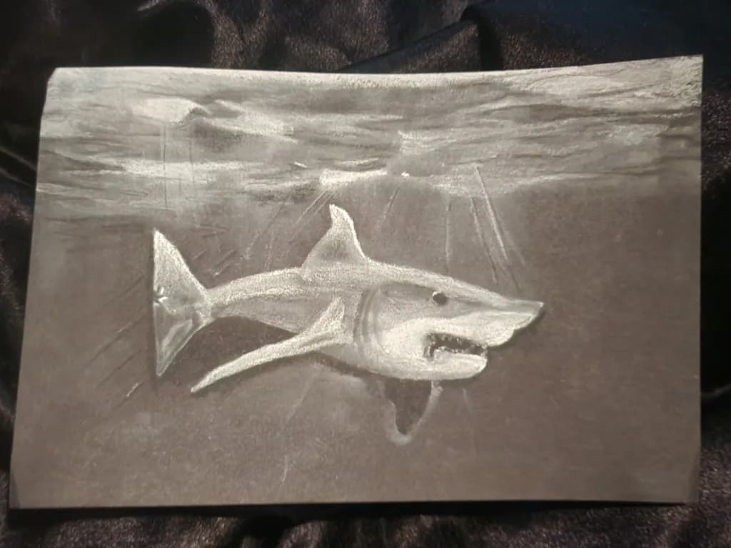 Shark Beneath Ocean Light