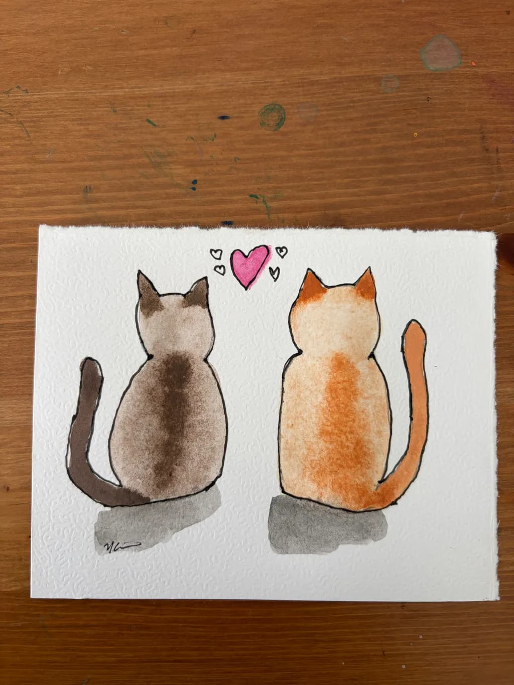 Cat Companions
