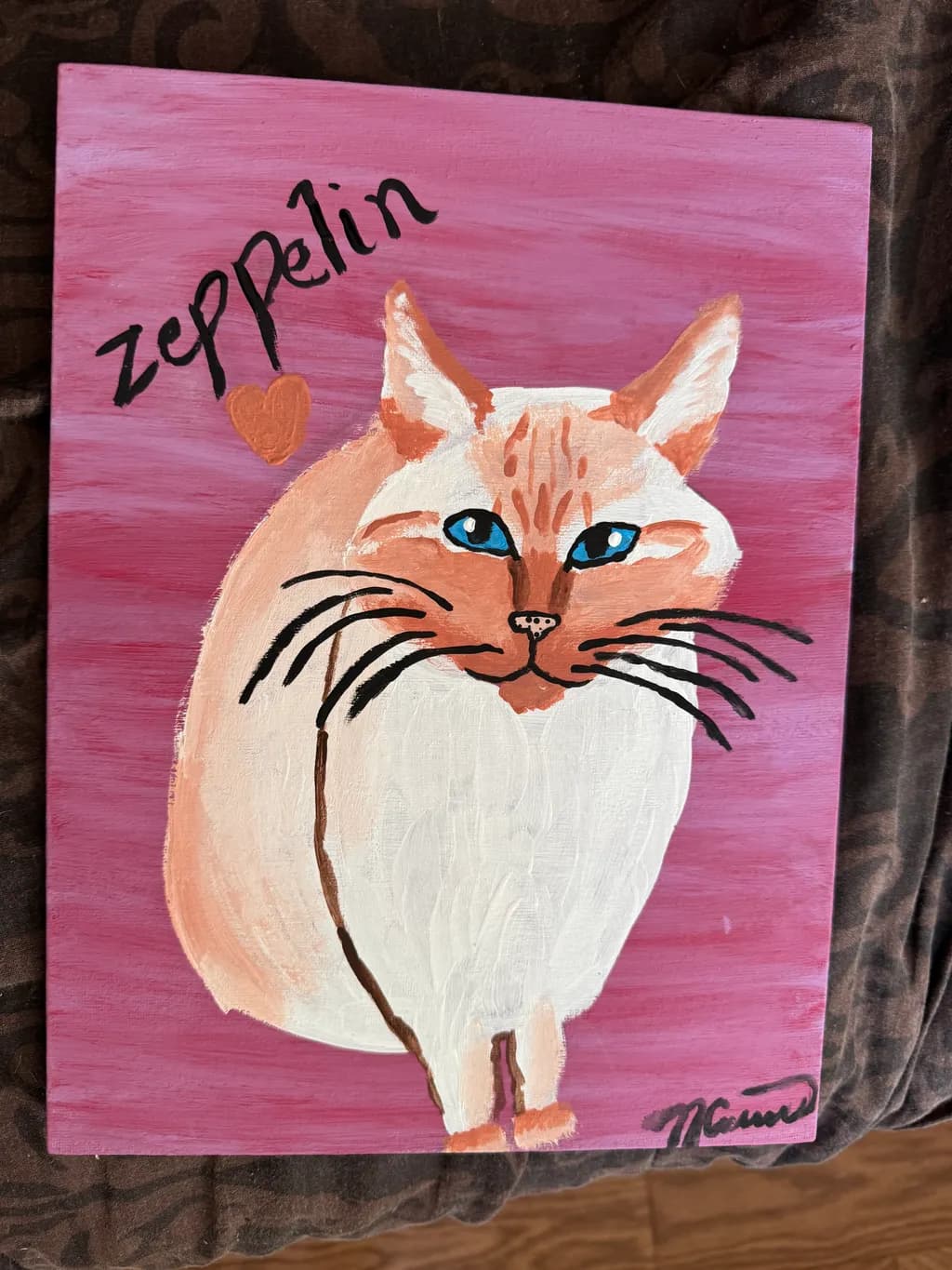 Zeppelin the Cat
