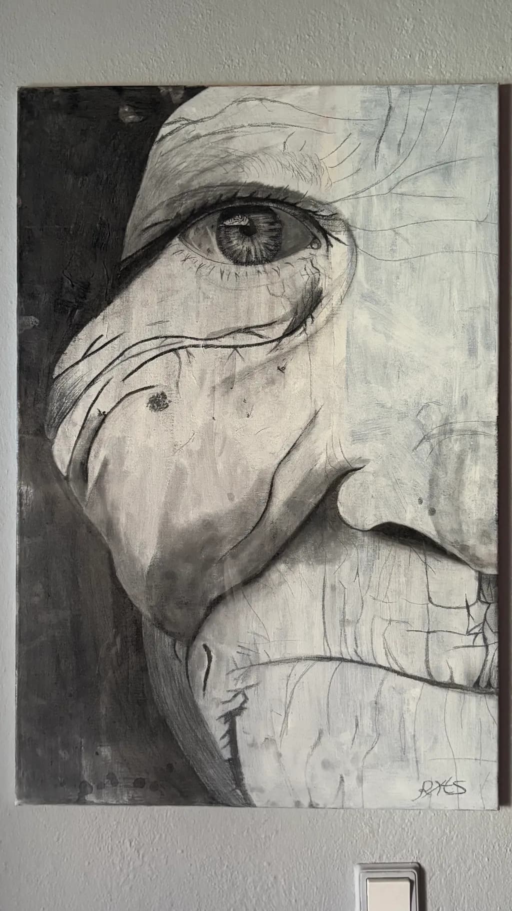 Wrinkled Face Portrait