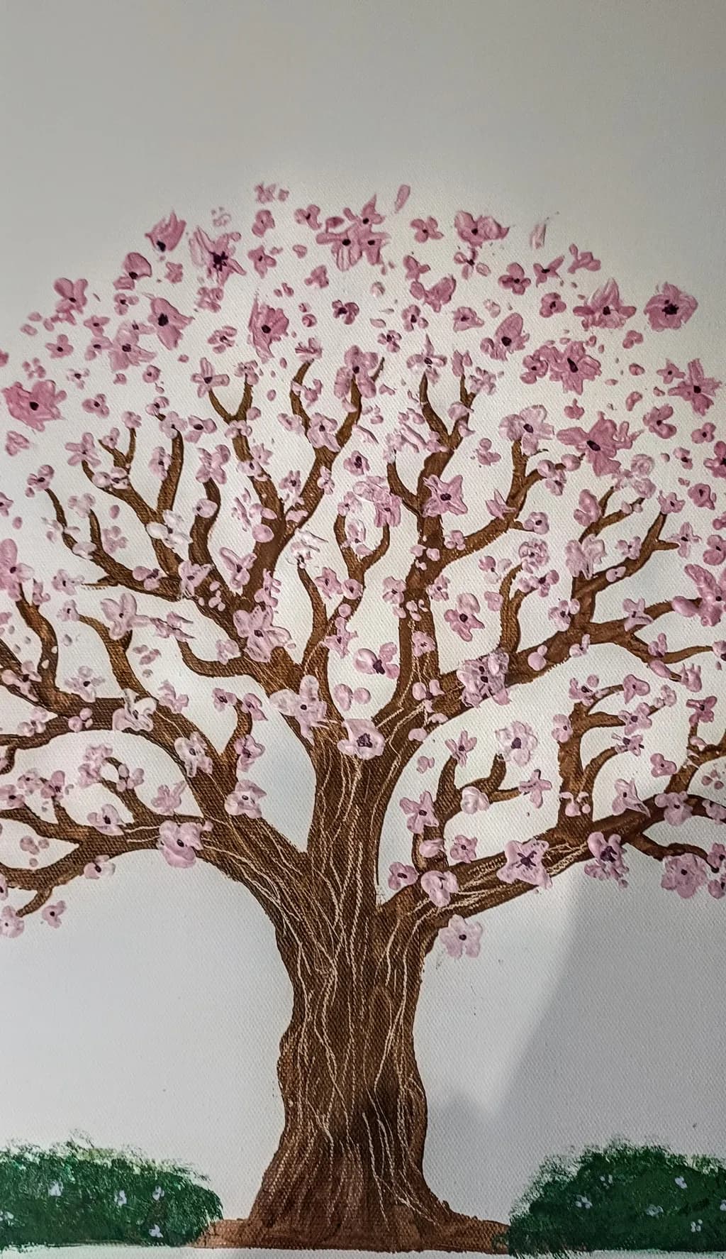 Cherry 🍒 blossom