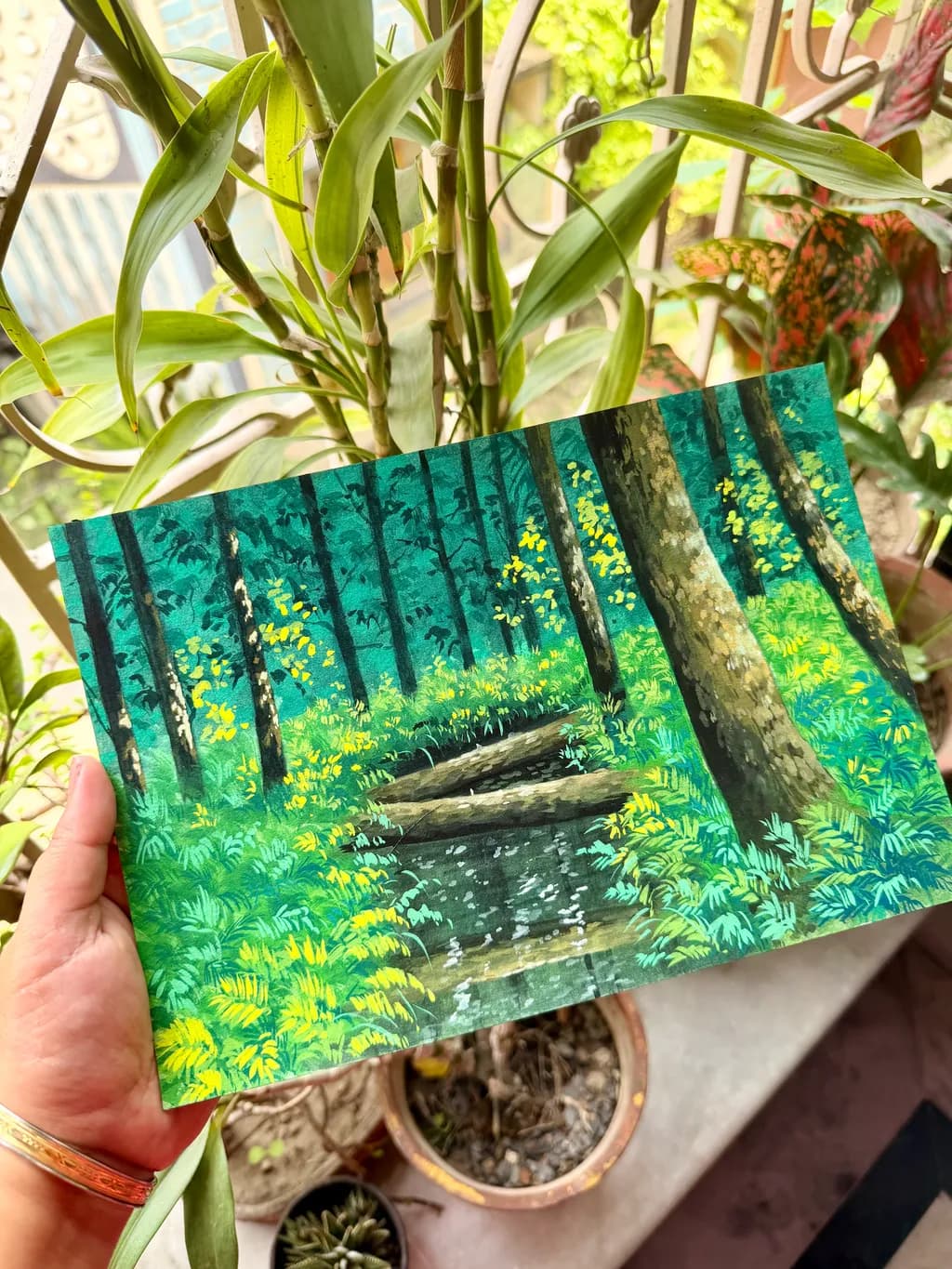 Forest Stream Reflection