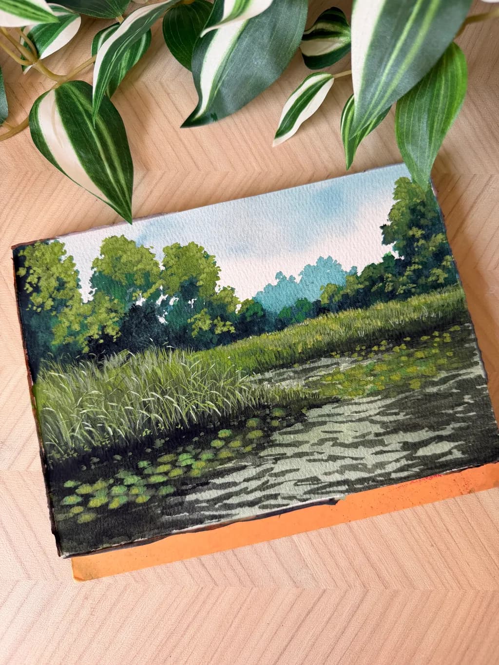 Riverbank Meadow