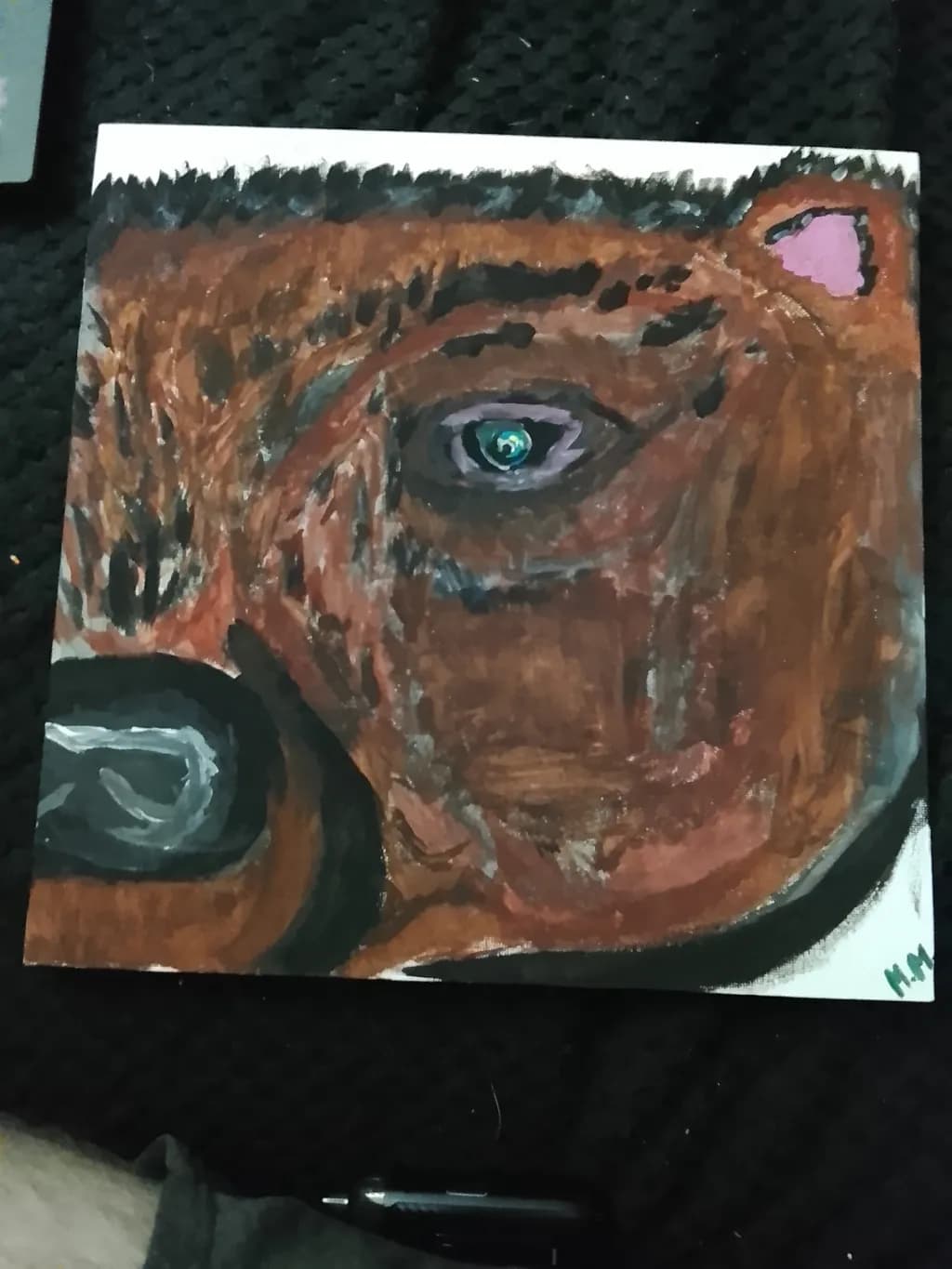 Bear Eye Close-Up