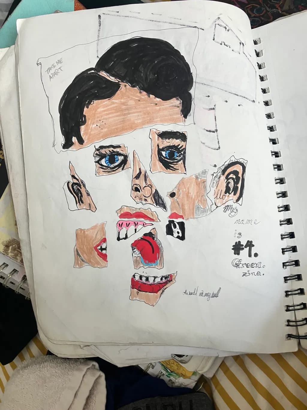 Fragmented Face Study