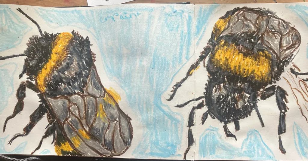 Bumblebee Duo