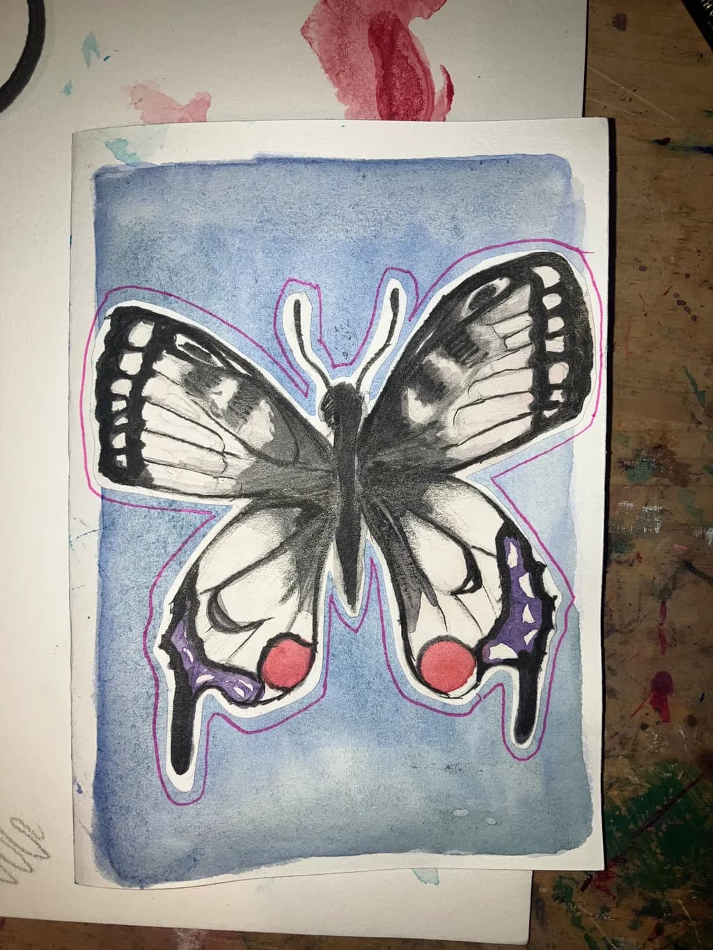Butterfly Sketch