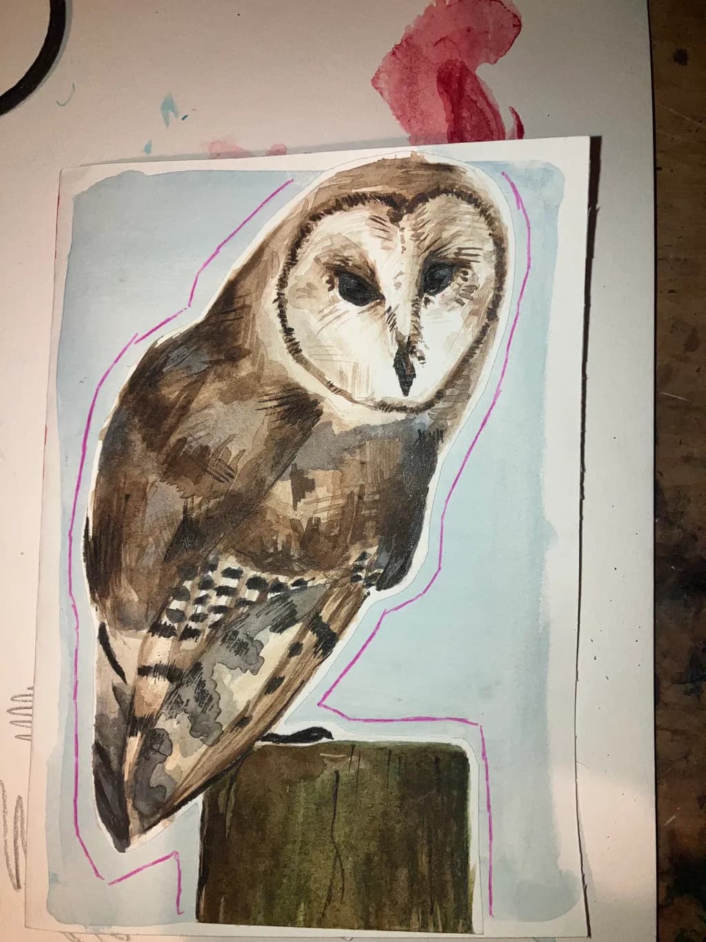 Barn Owl Perch