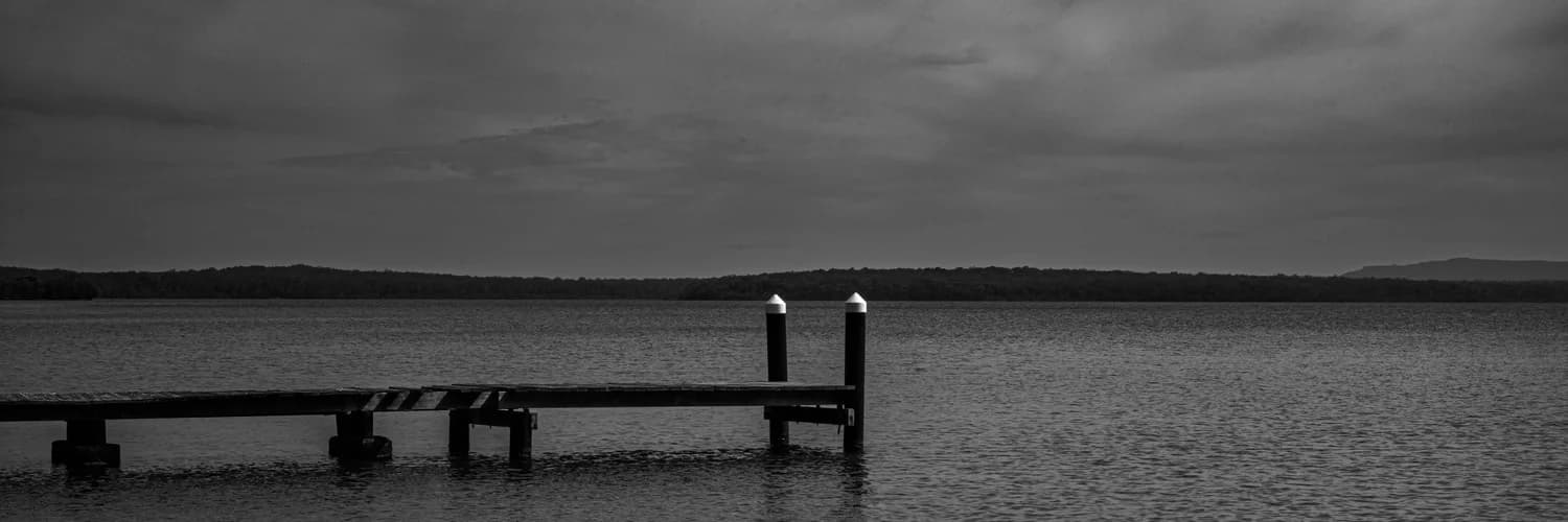 Banner del perfil