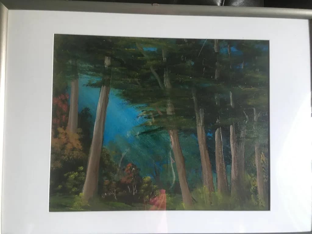 Forest Inbound