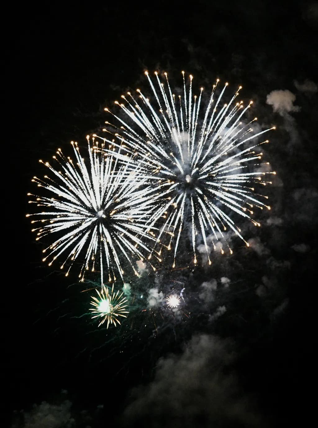 Night Sky Fireworks
