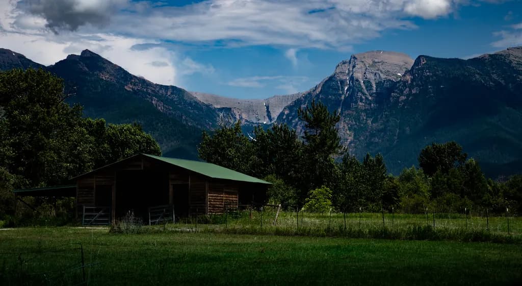 Montana Mountain View