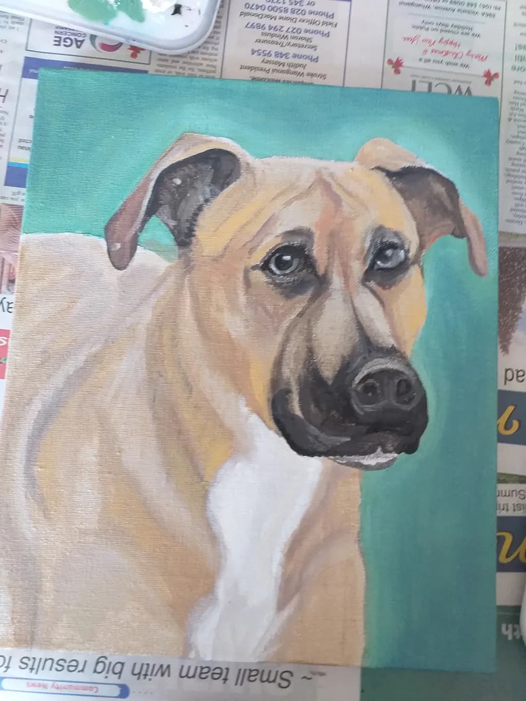 Dog Portrait