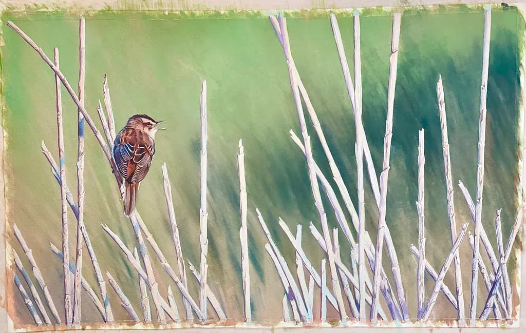Bird on Reeds