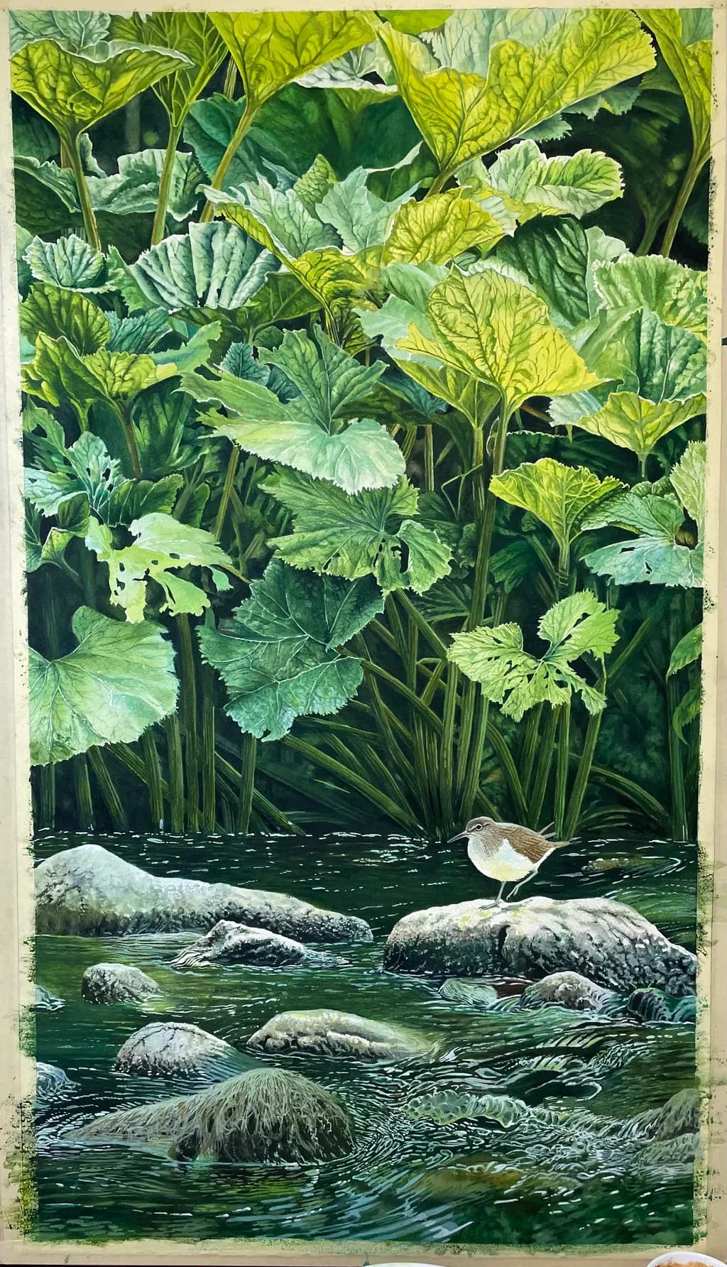 Streamside Bird and Leaves