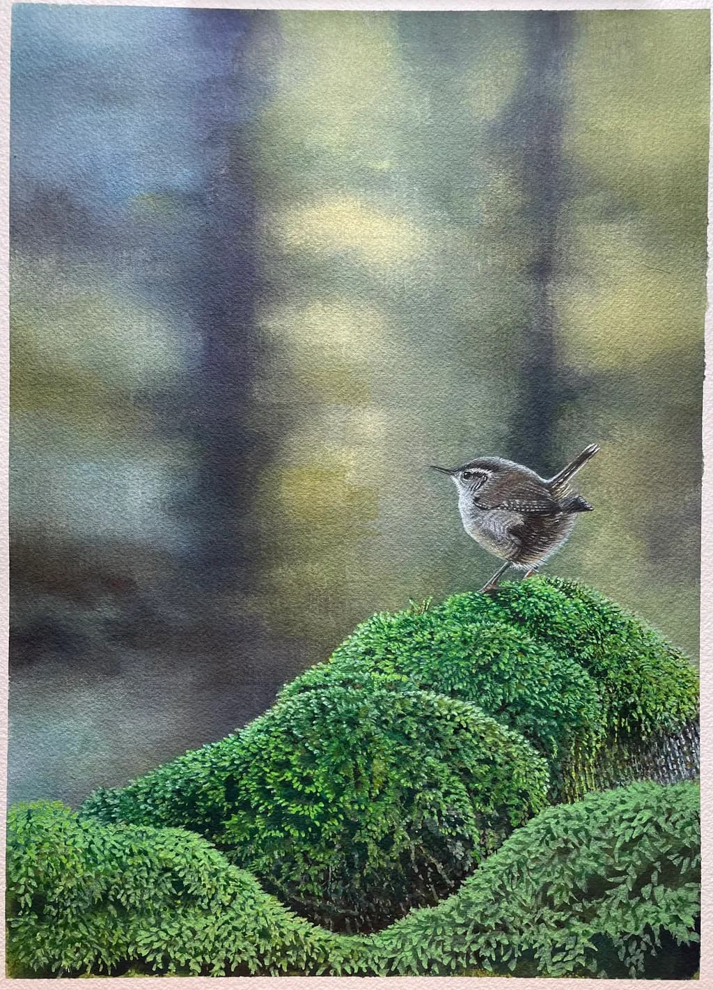 Bird on Mossy Forest
