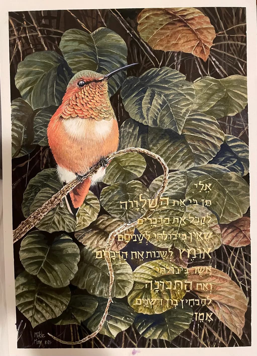 Hummingbird on Leaves