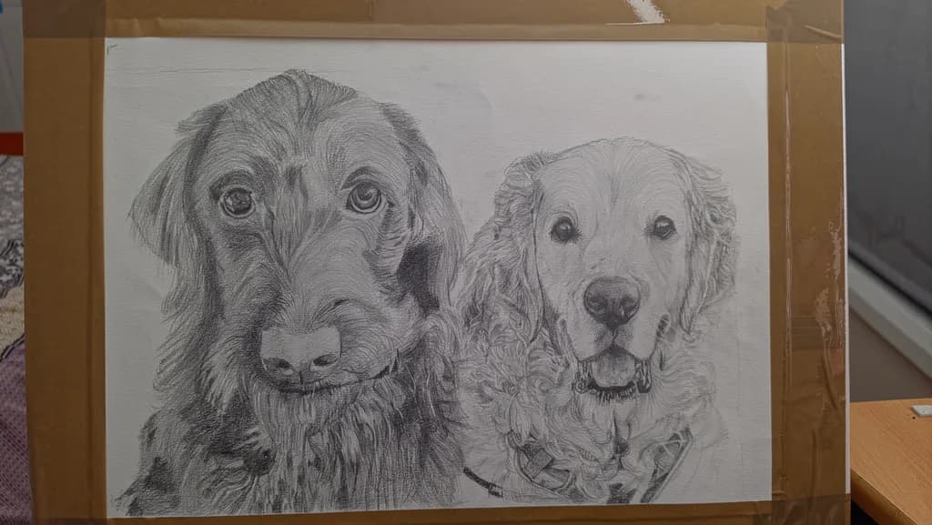 Double Canine Portrait