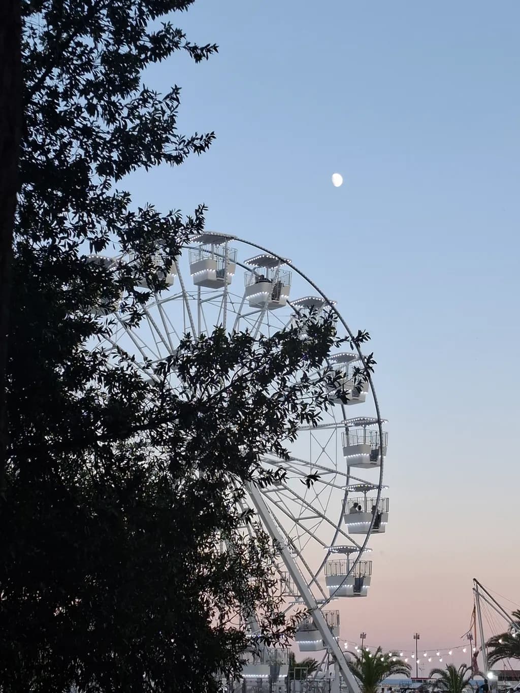Ferris Wheel at Dusk