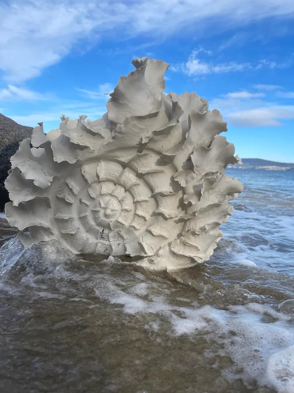 Seashell by the Water