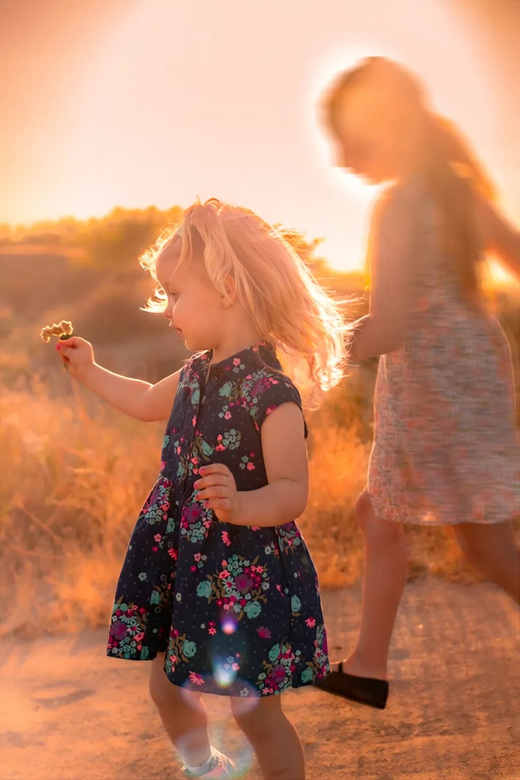 Golden Field Play