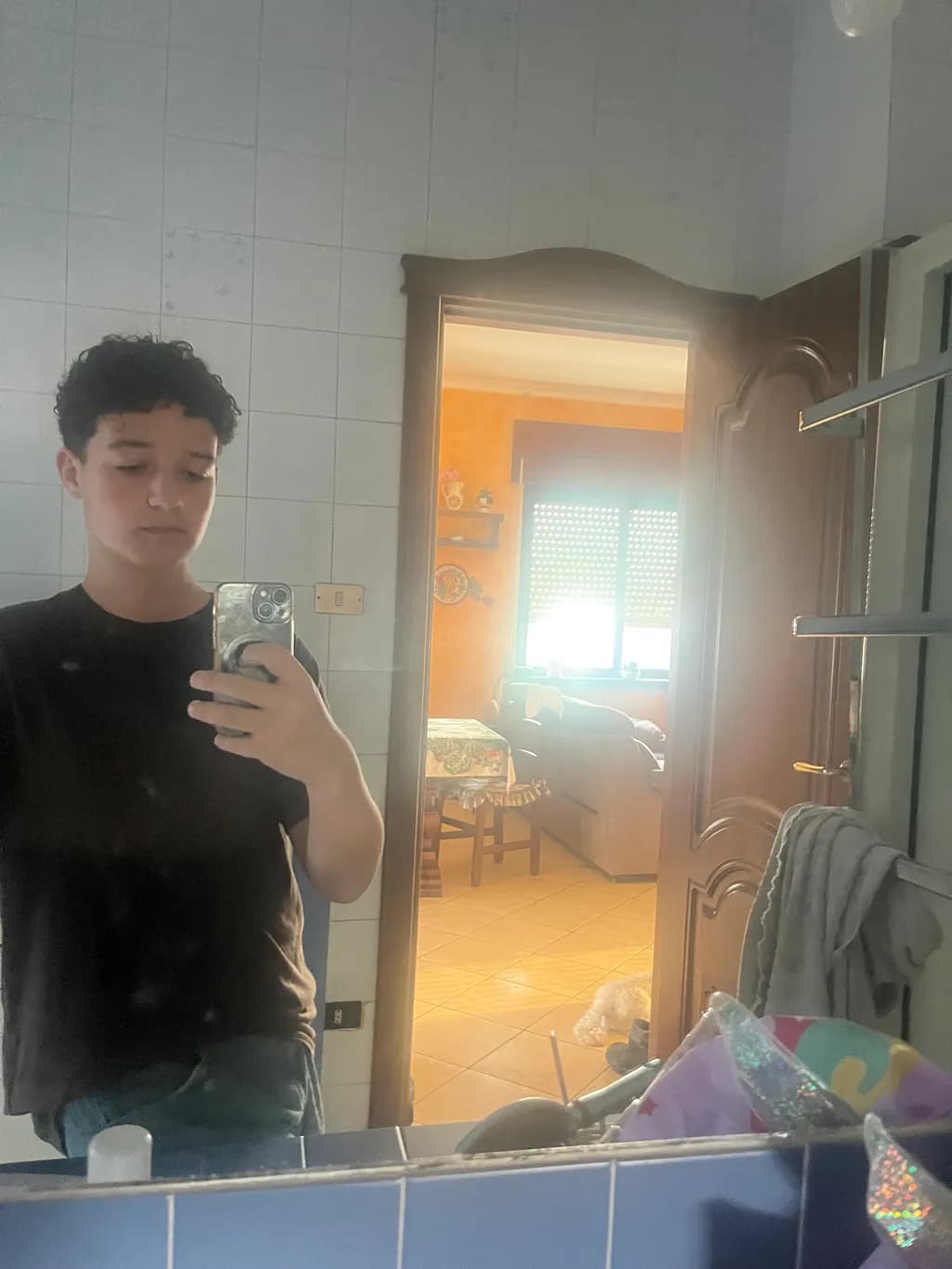 Bathroom Mirror Reflection