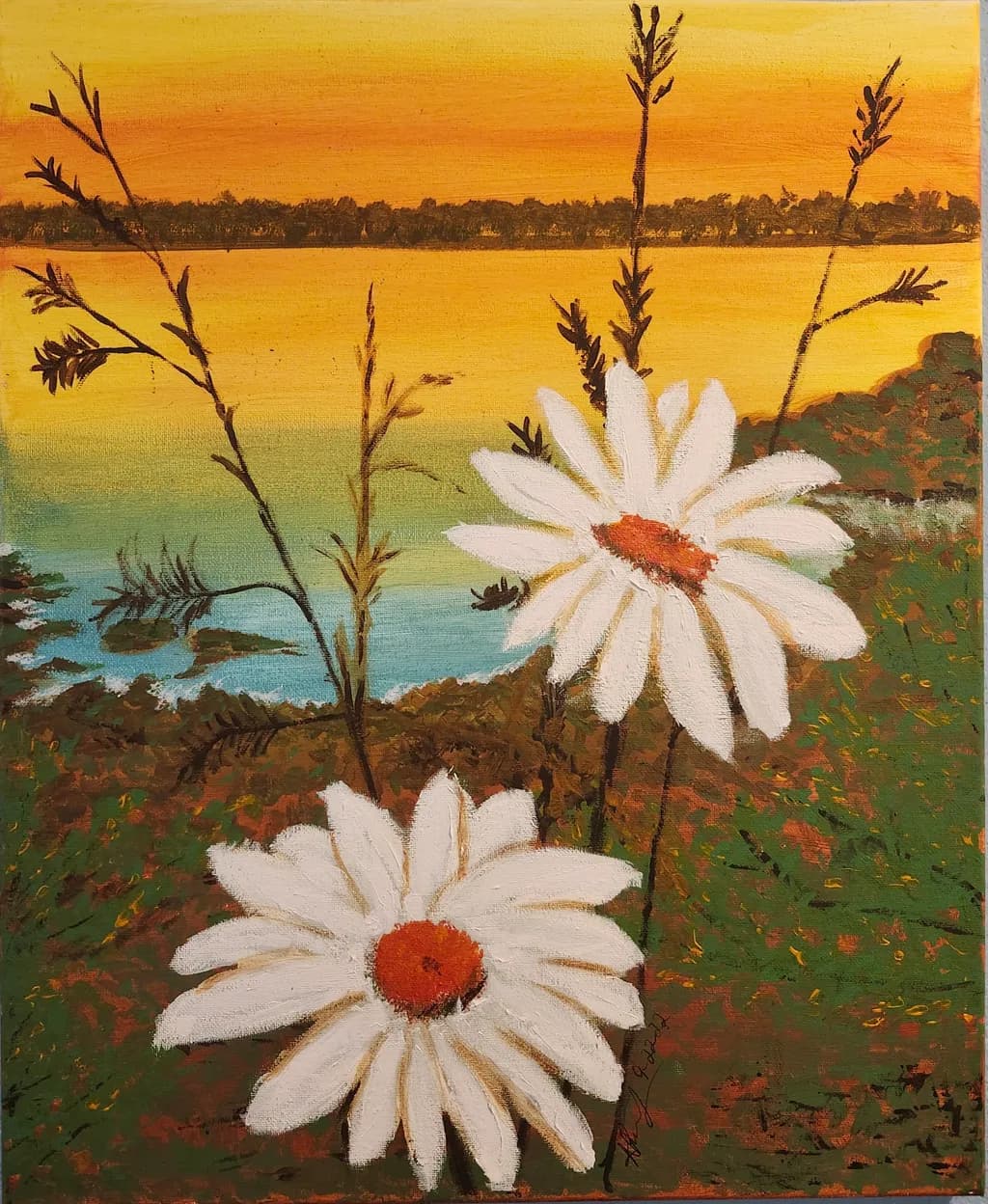 Daisies at Sunset Landscape