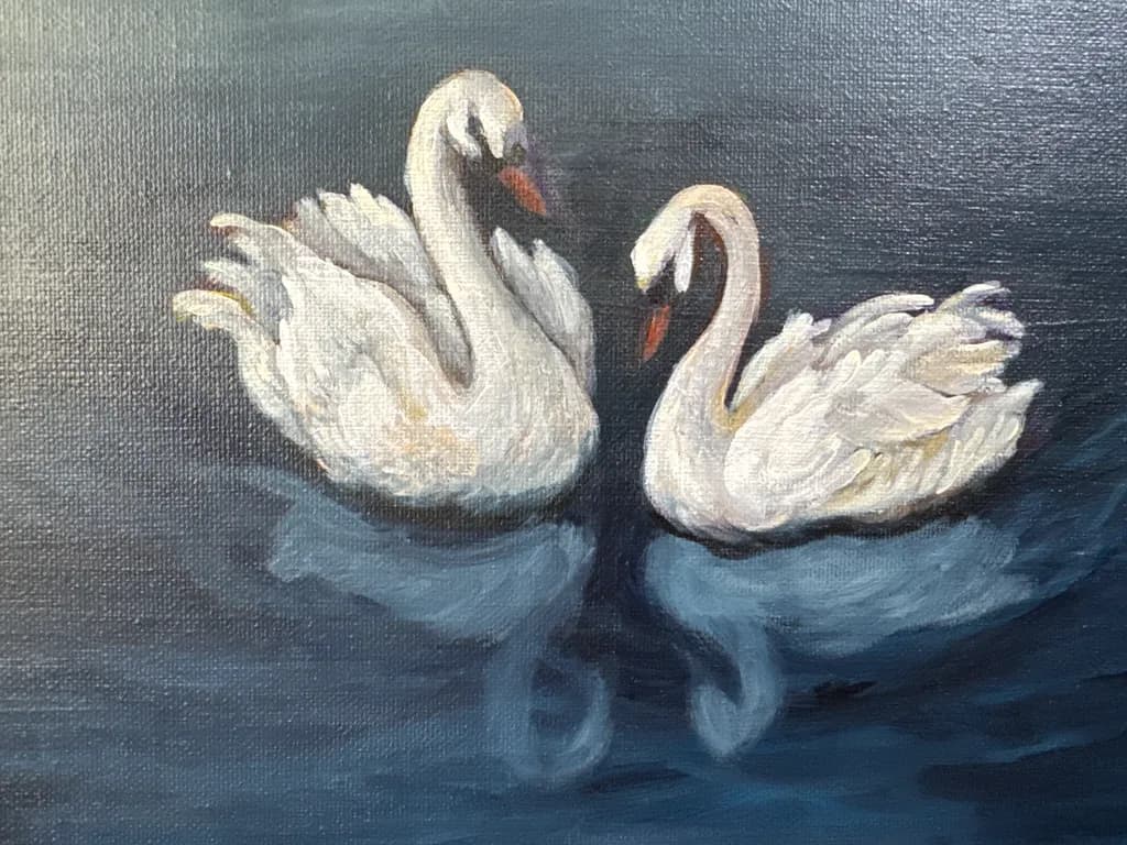 Swans on Water