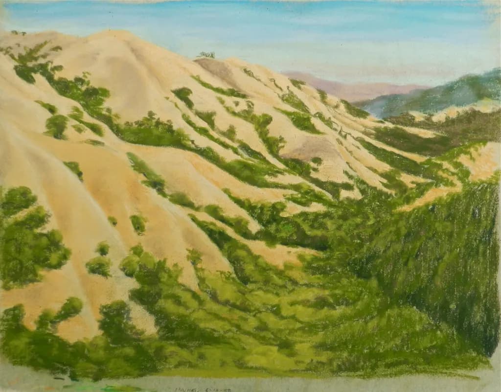 Desert Hills Landscape