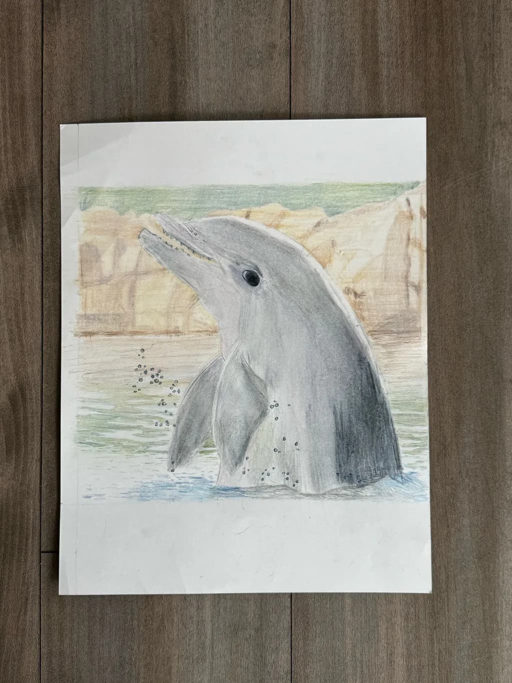 Dolphin Leap