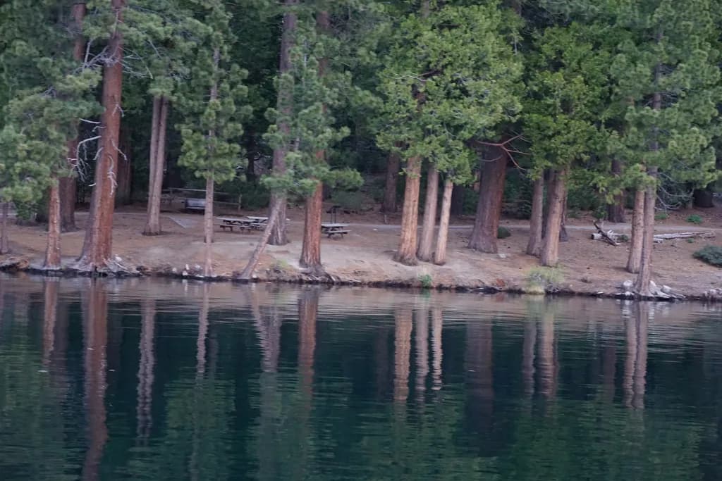 Forest Shore Reflection