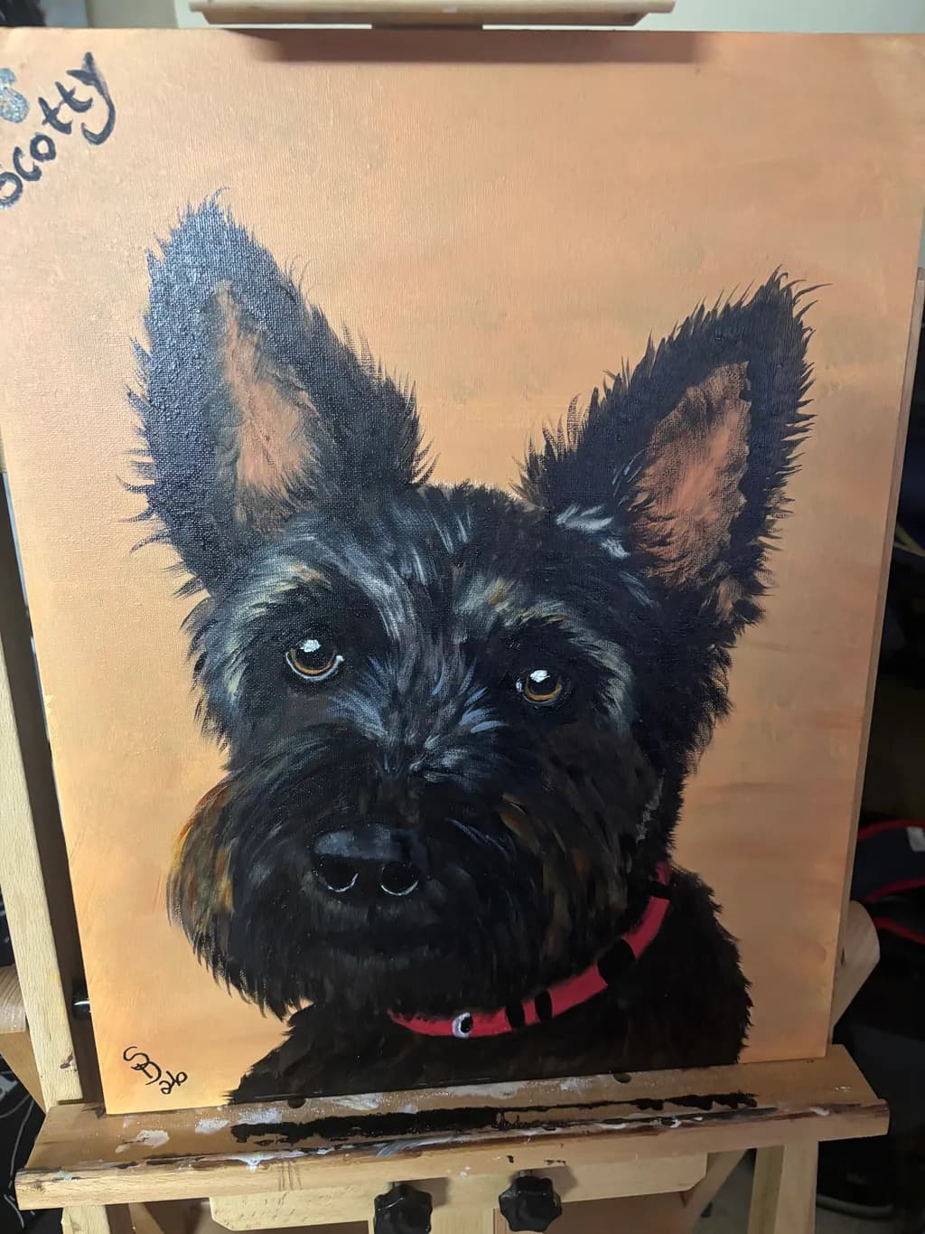 Scotty Portrait