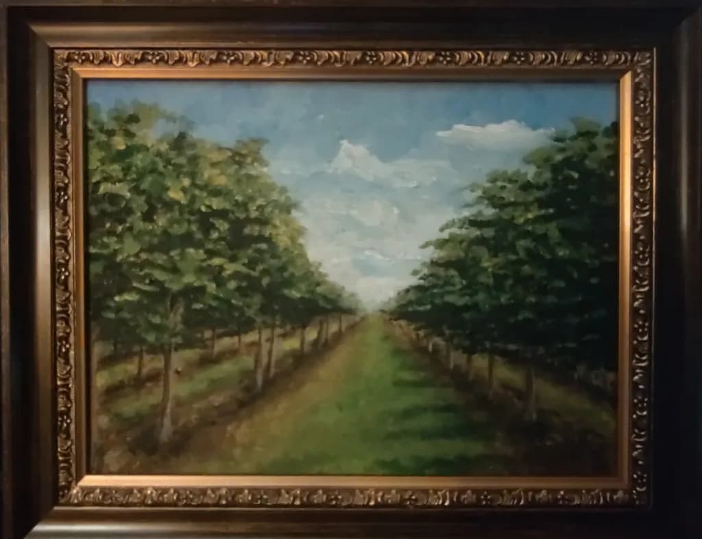Tree-Lined Pathway