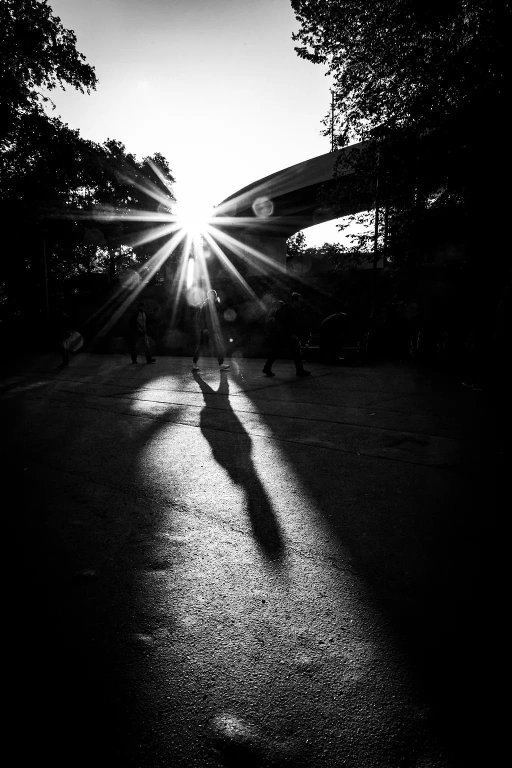 Sunlit Bridge Walk