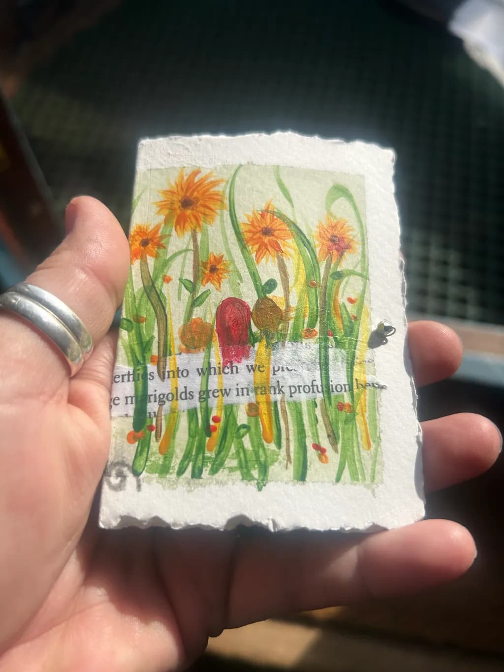 Marigold Garden