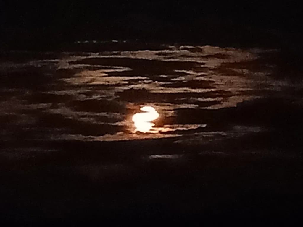 Moonlit Night Sky