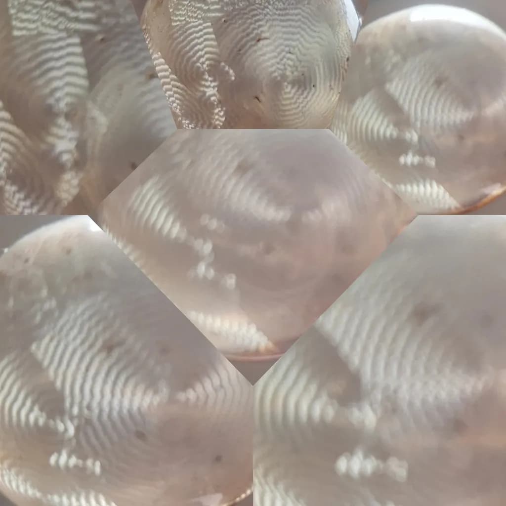 Polish Abstract Pattern