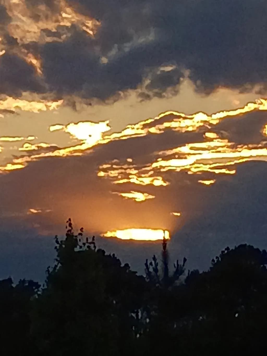 Sunset Silhouettes