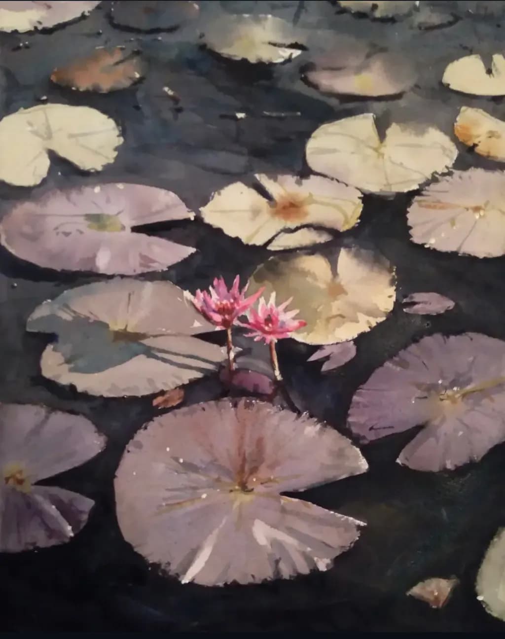 Water Lilies Reflection