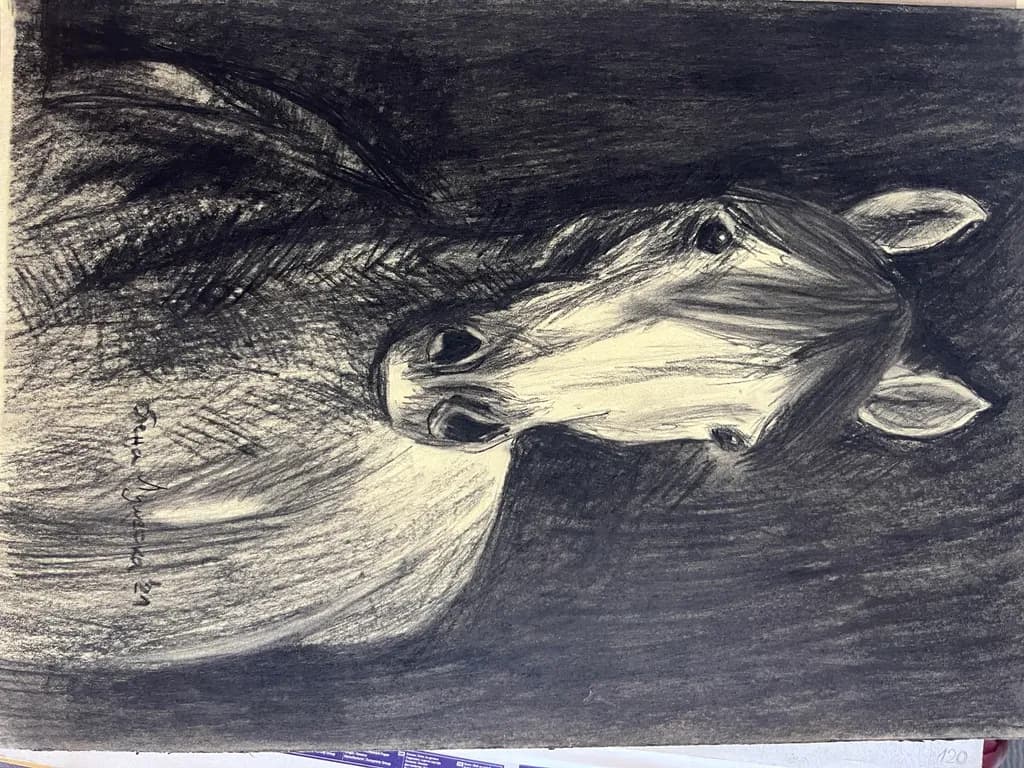Horse Gaze
