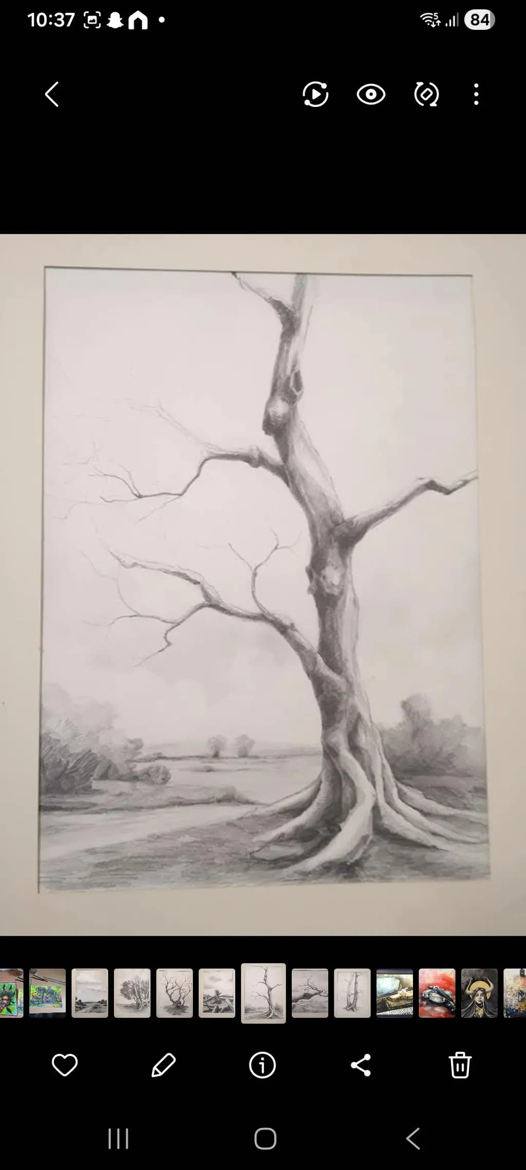 Ancient Tree Trunk